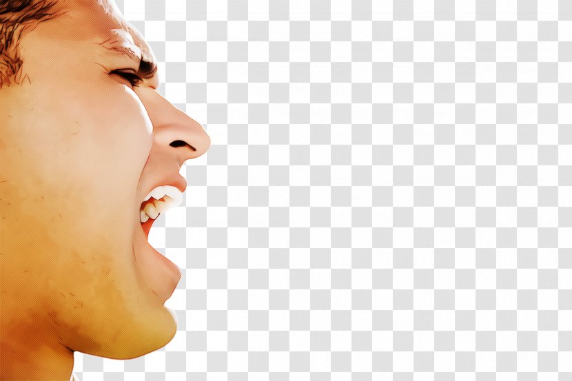 Face Nose Chin Skin Facial Expression - Head - Neck Jaw Transparent PNG