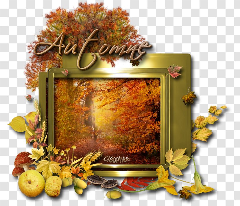 Autumn Day Logos Leaf - Sleep - Tribute To Shirley Temple Transparent PNG