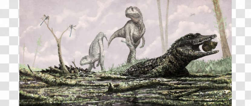 Crocodile Prehistory Deinosuchus Koumpiodontosuchus Diplodocus - Snail Transparent PNG