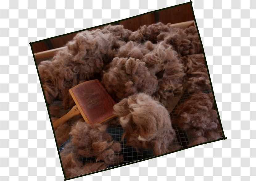 Dog Fur Canidae Crossbreed Mammal Transparent PNG