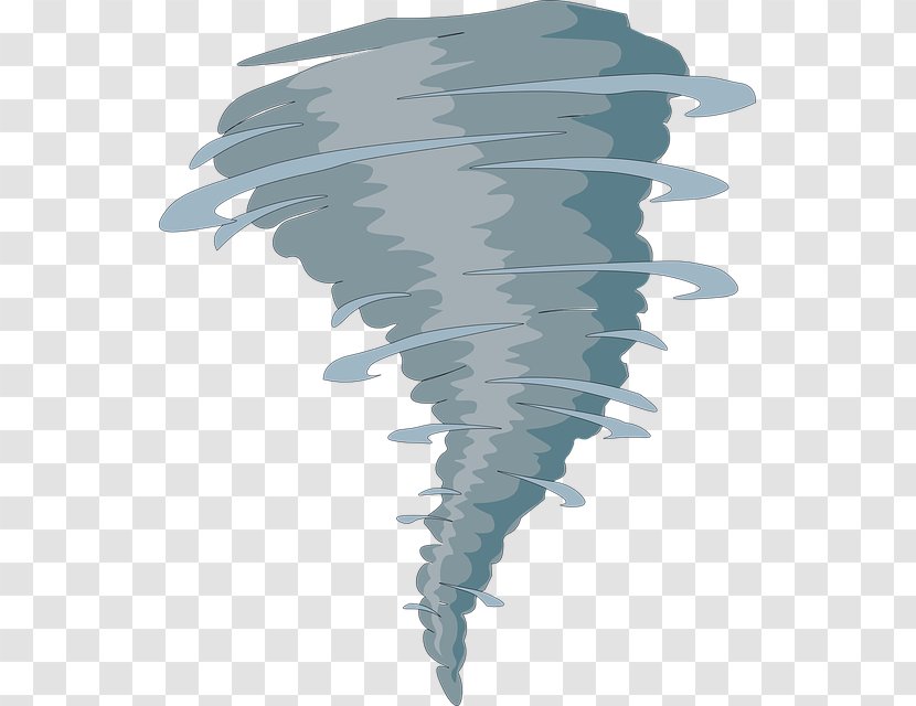 Tornado Cartoon - Tropical Cyclone - Feather Drawing Transparent PNG