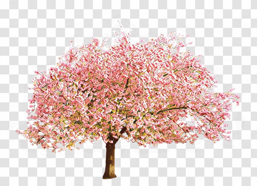 Cherry Blossom Tree - Flower - Twig Shrub Transparent PNG