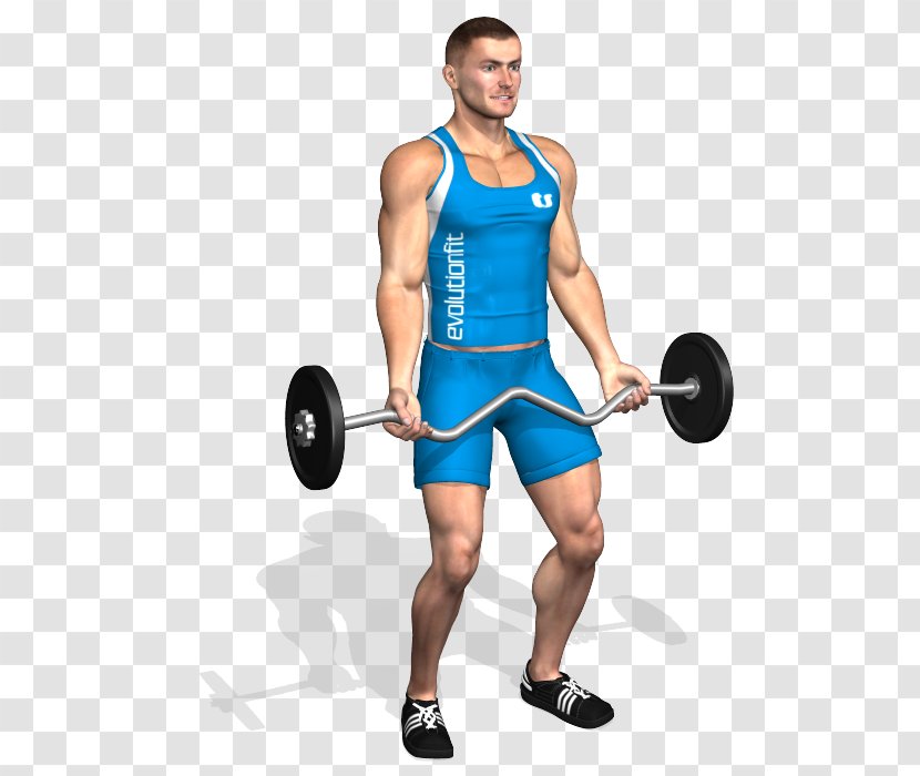 Weight Training Barbell Biceps Curl Dumbbell Squat - Cartoon Transparent PNG