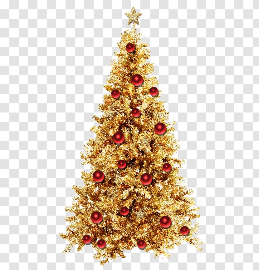 Santa Claus Christmas Tree New Year - Fir Transparent PNG