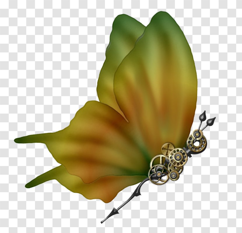 PhotoScape Clip Art - Plant Stem - Butterfly Transparent PNG