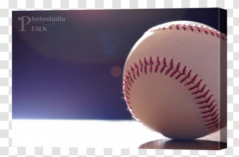 RE/MAX Field Edmonton Prospects Western Major Baseball League World Cup - Sport - Child Transparent PNG