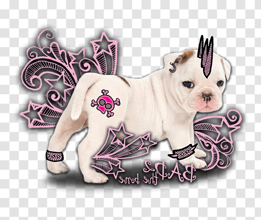 Toy Bulldog Puppy Love Dog Breed - Mammal Transparent PNG