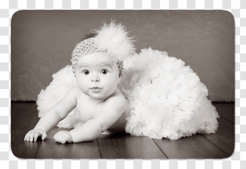 Infant Child Photographer Photo Booth - Animal Transparent PNG