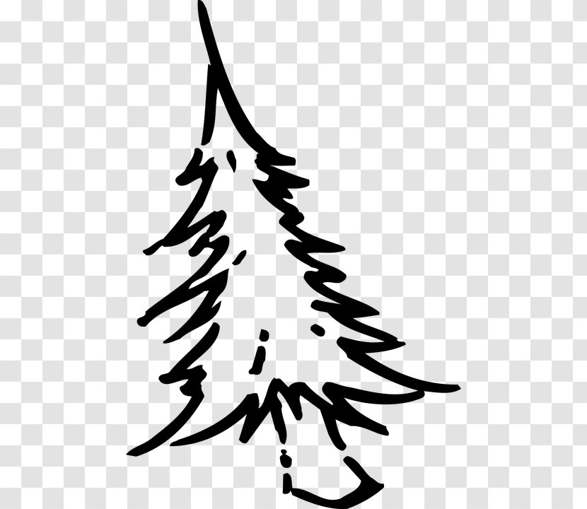 Drawing Christmas Tree - Line Art Transparent PNG