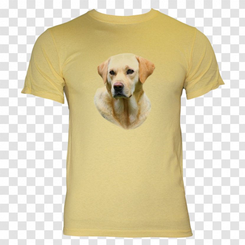 Golden Retriever Labrador T-shirt Puppy Dog Breed - Like Mammal Transparent PNG