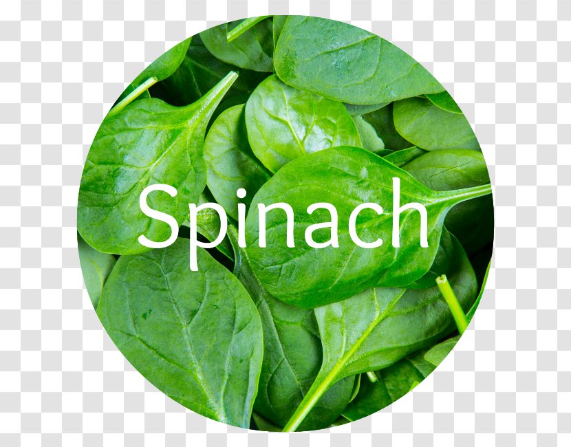 Vegetarian Cuisine Palak Paneer Spinach Leaf Vegetable Transparent PNG