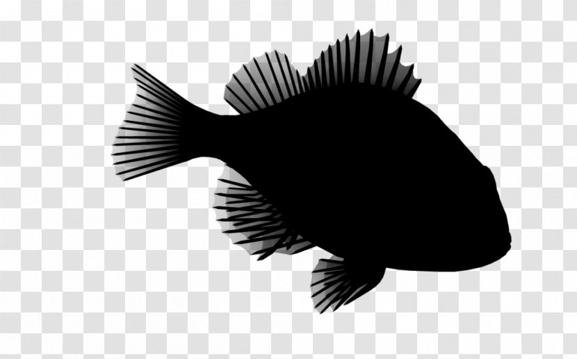 Fish Brush - Bonyfish Transparent PNG
