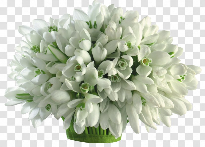 Galanthus Nivalis Flower Bouquet Cut Flowers Bulb - Snowdrop Transparent PNG