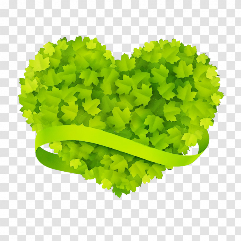 Green Leaf Leaf Vegetable Plant Grass Transparent PNG