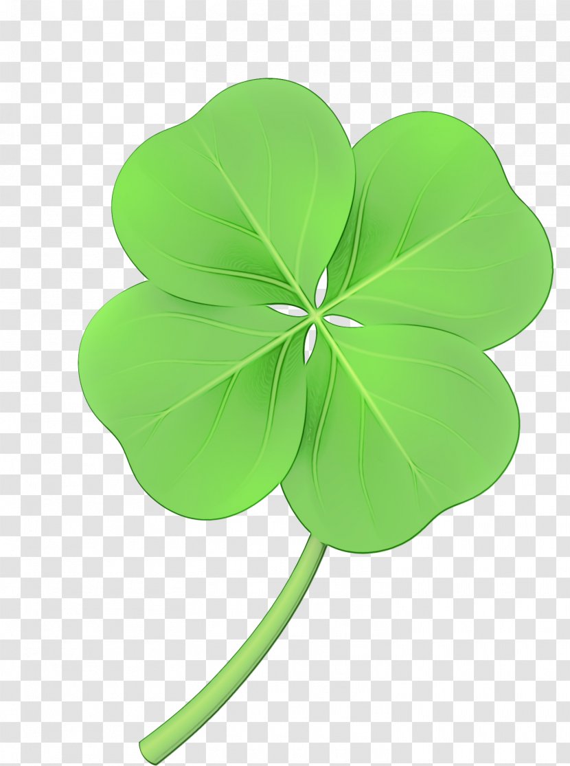 Watercolor Flower Background - Wood Sorrel Family Shamrock Transparent PNG