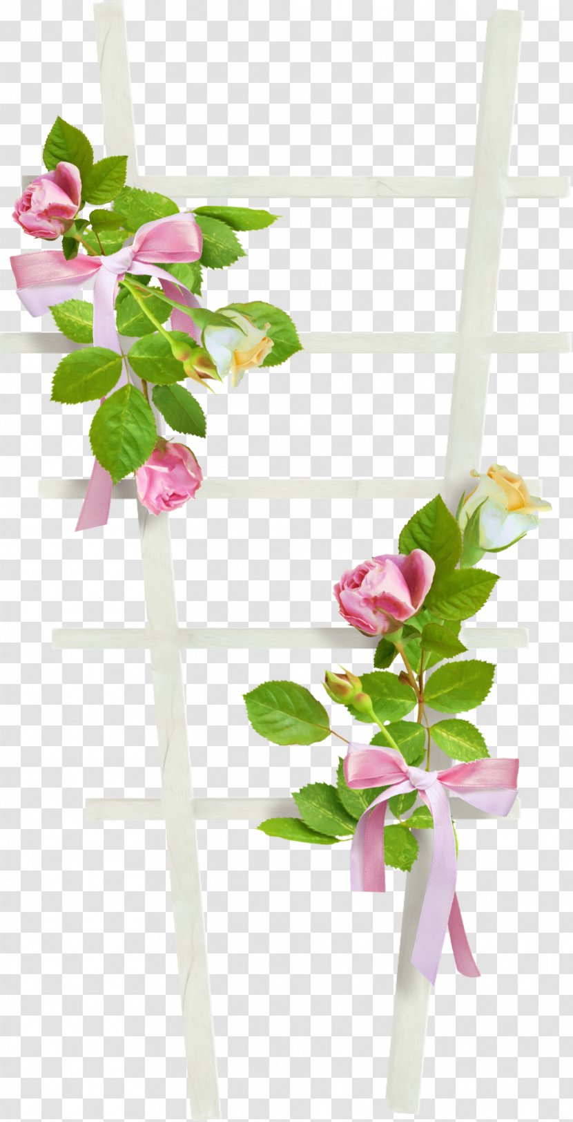 MIME Garden Roses Computer File - Copying - Ladder Transparent PNG