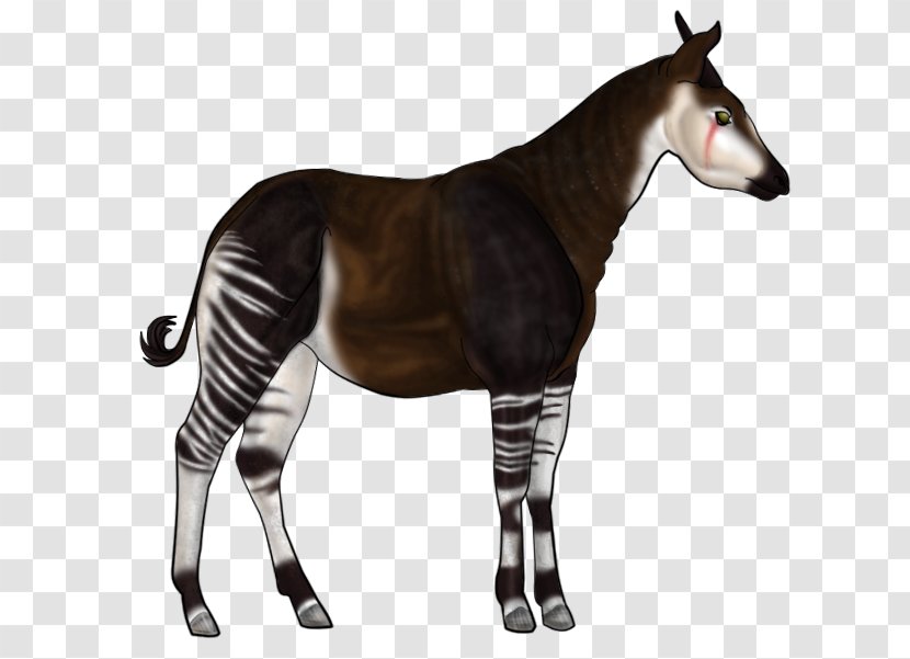 Okapi Horse Kerry Beagle Mane Pony - Breed - Zoo Playful Transparent PNG