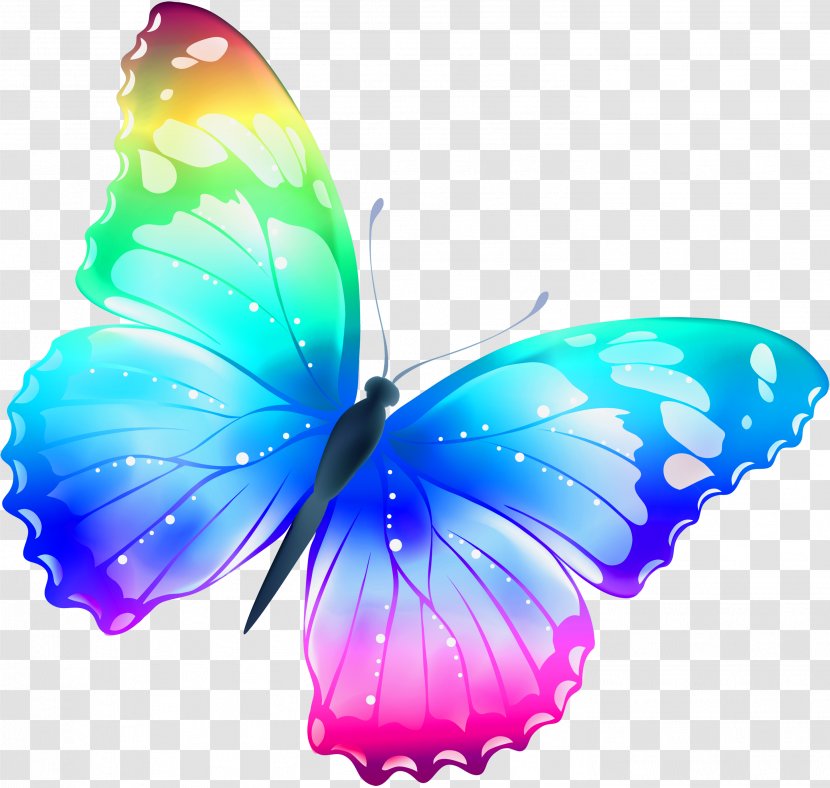 Butterfly Color Clip Art - Brush Footed Transparent PNG