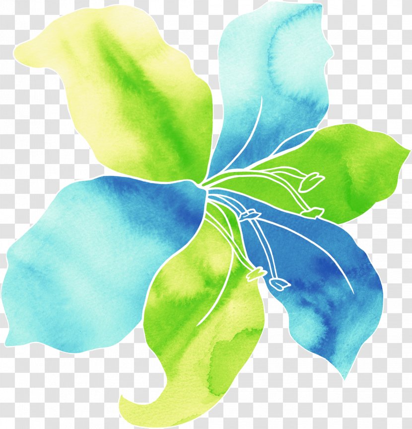 Watercolor Painting Download - Leaf - Lily Blooming Blue Shading Background Transparent PNG