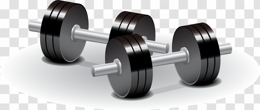Dumbbell Weight Training Olympic Weightlifting Physical Exercise - Renderings Vector Transparent PNG