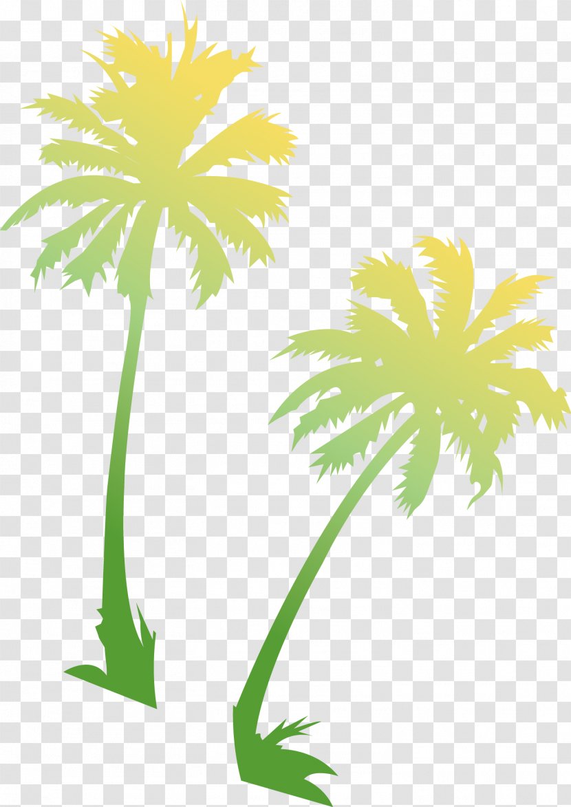 Asian Palmyra Palm Coconut Trees Image - Tree - Bangalow Transparent PNG