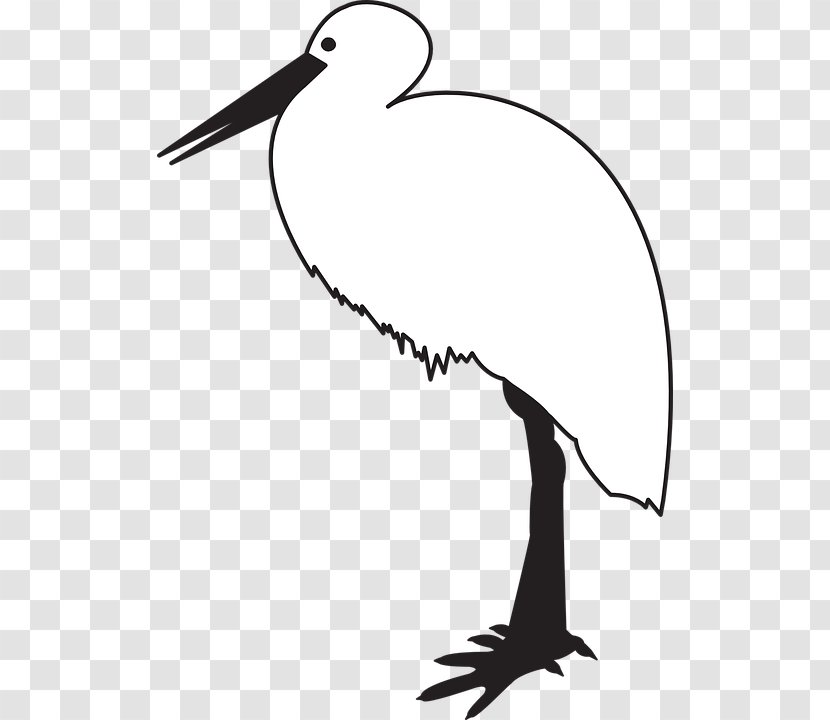 White Stork Black Bird And Clip Art - Pattern - Cartoon Transparent PNG
