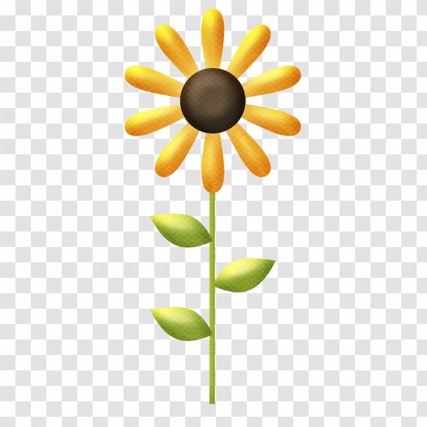 Common Sunflower Illustration - Plant Transparent PNG