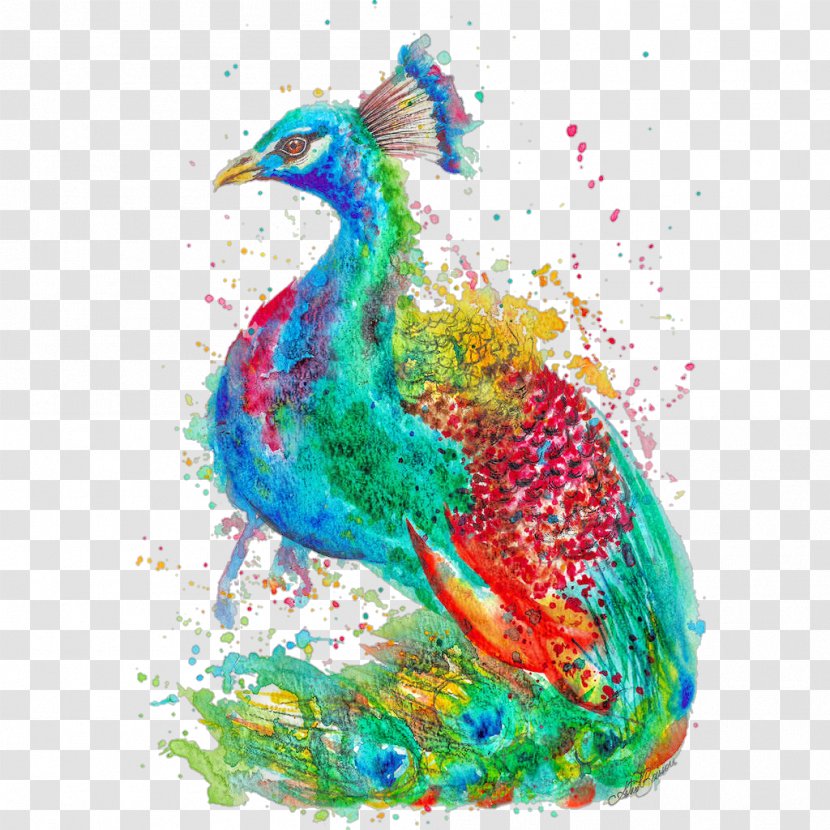 Illustration Watercolor Painting Art Peafowl - Paint Transparent PNG