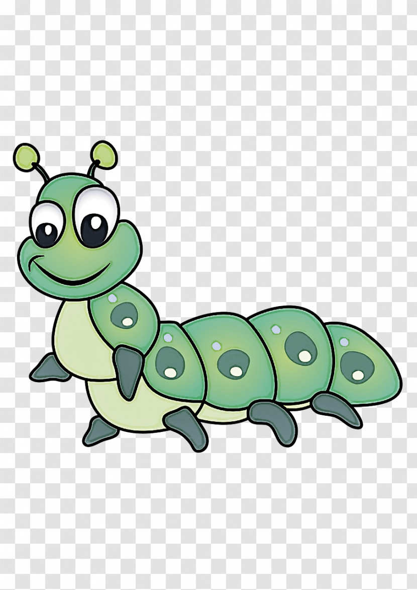 Insect Frogs Cartoon Butterflies Turtles Transparent PNG
