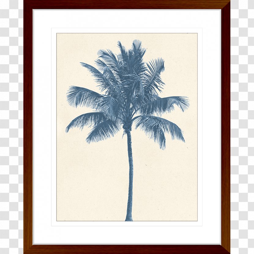 Coconut Tree Hyophorbe Lagenicaulis Stock Photography - Poster Wall Transparent PNG