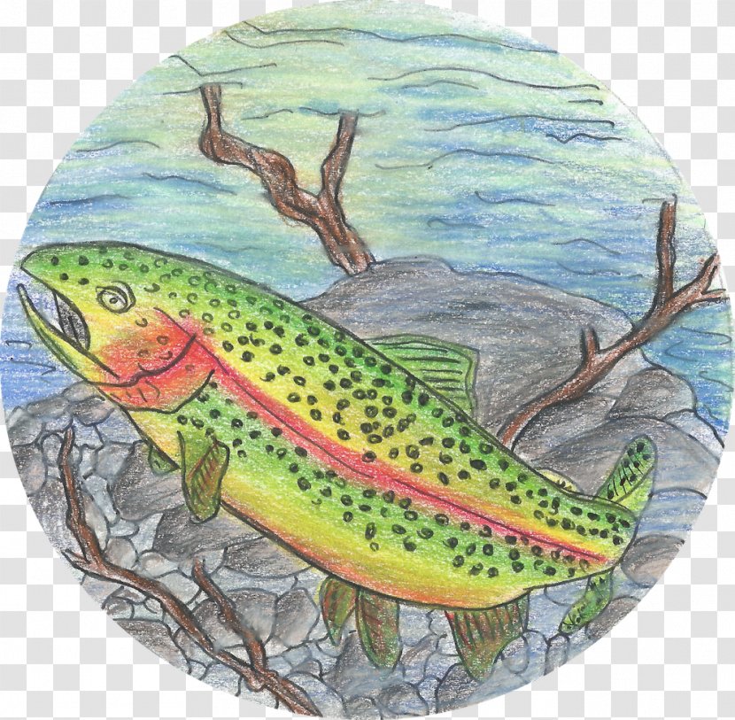 Salmon 09777 Fauna Ecosystem Trout - Organism - Rainbow Transparent PNG