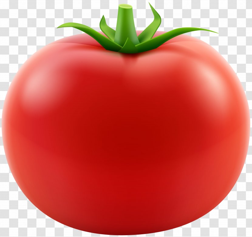 Plum Tomato Bush Food Brand - Local - Red Transparent Clip Art Image Transparent PNG
