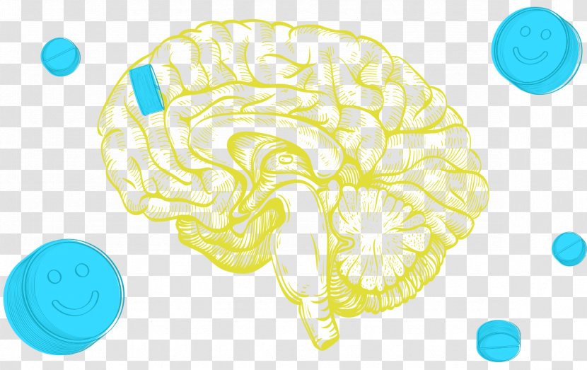 The Stimulated Brain: Cognitive Enhancement Using Non-Invasive Brain Stimulation Human Nervous System Anatomy - Tree Transparent PNG