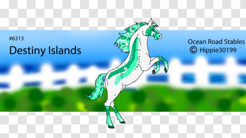Horse Name Stallion Mare - Kiama Transparent PNG