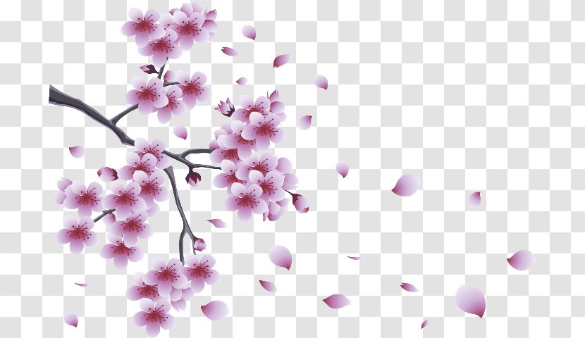 Flower Desktop Wallpaper Blossom Clip Art - Drawing Transparent PNG
