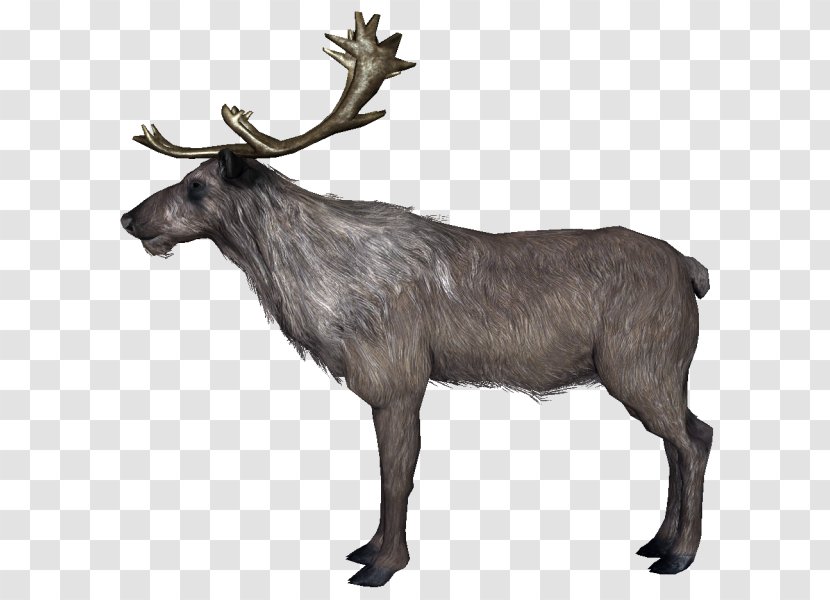 Reindeer Food Chain The Elder Scrolls V: Skyrim Antler Transparent PNG