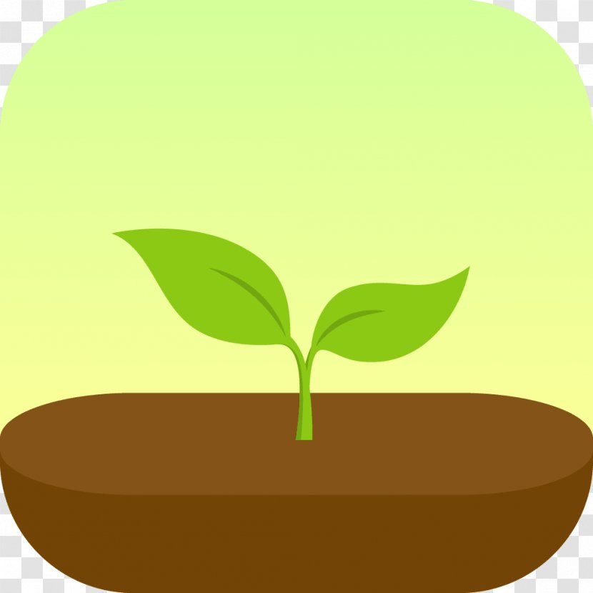 Forest IPhone App Store Android - Growth Transparent PNG