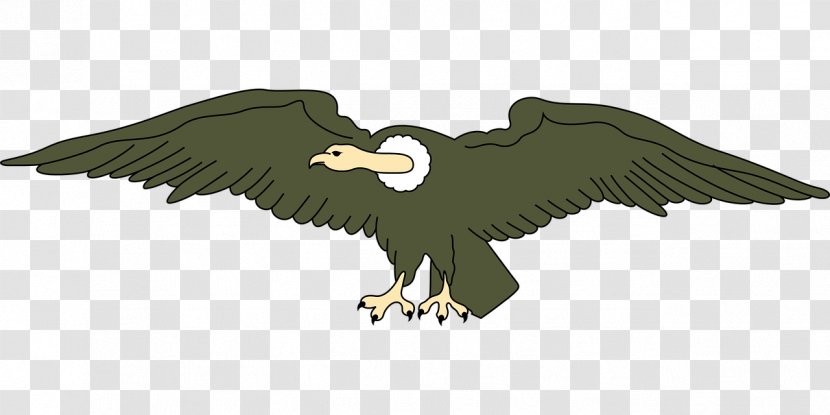 Bald Eagle Vulture Clip Art - Bird Transparent PNG