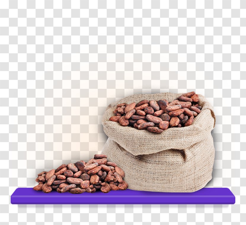 Cocoa Bean Chocolate Cadbury Theobroma Cacao Commodity Transparent PNG