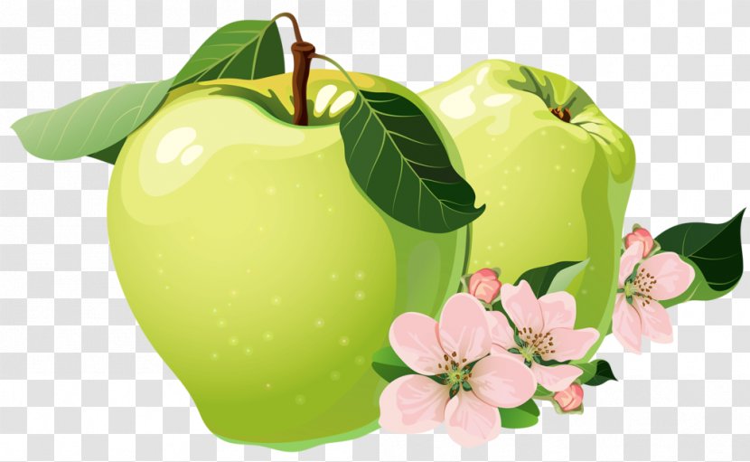 Granny Smith Apple Auglis - Fruit - Hand-painted Blue Transparent PNG