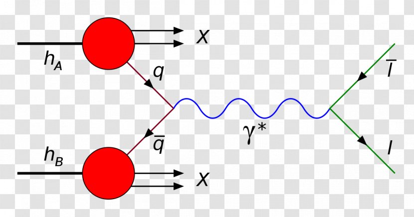 Drell–Yan Process W And Z Bosons Boson Quark - Symmetry - Synchrotron Transparent PNG