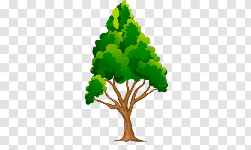 Tree Drawing Clip Art - Paper Transparent PNG