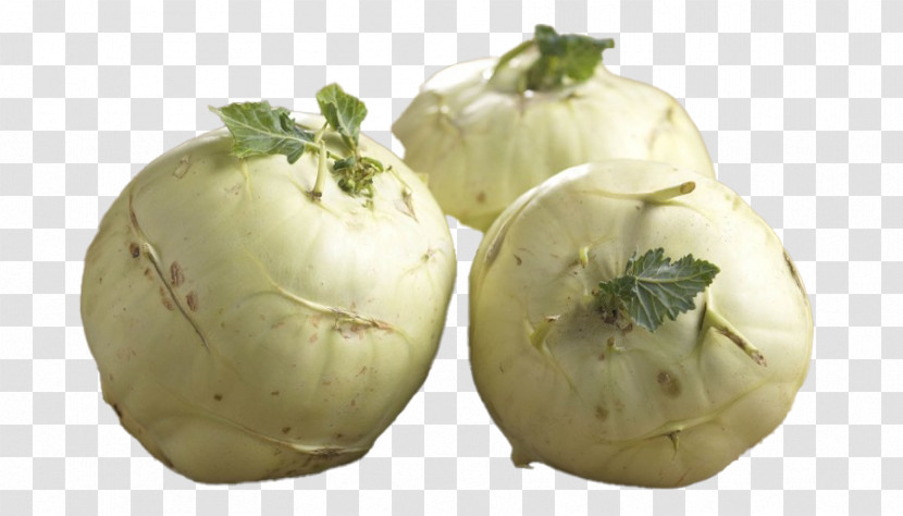 Food Vegetable Kohlrabi Wild Cabbage Plant Transparent PNG