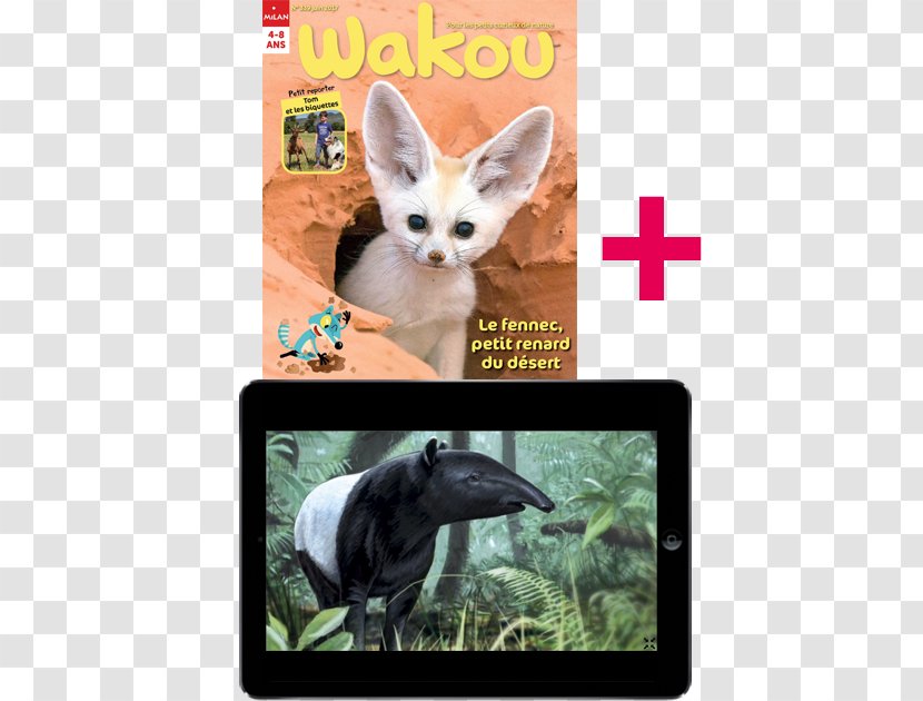 Wakou Magazine Subscription Newspaper Photo Caption - Wildlife - Bayam Transparent PNG