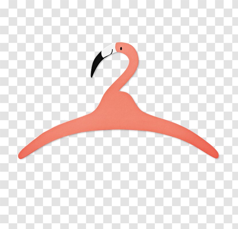 Clothes Hanger Pants Clothing Wood Greater Flamingo - Bird - Party Transparent PNG