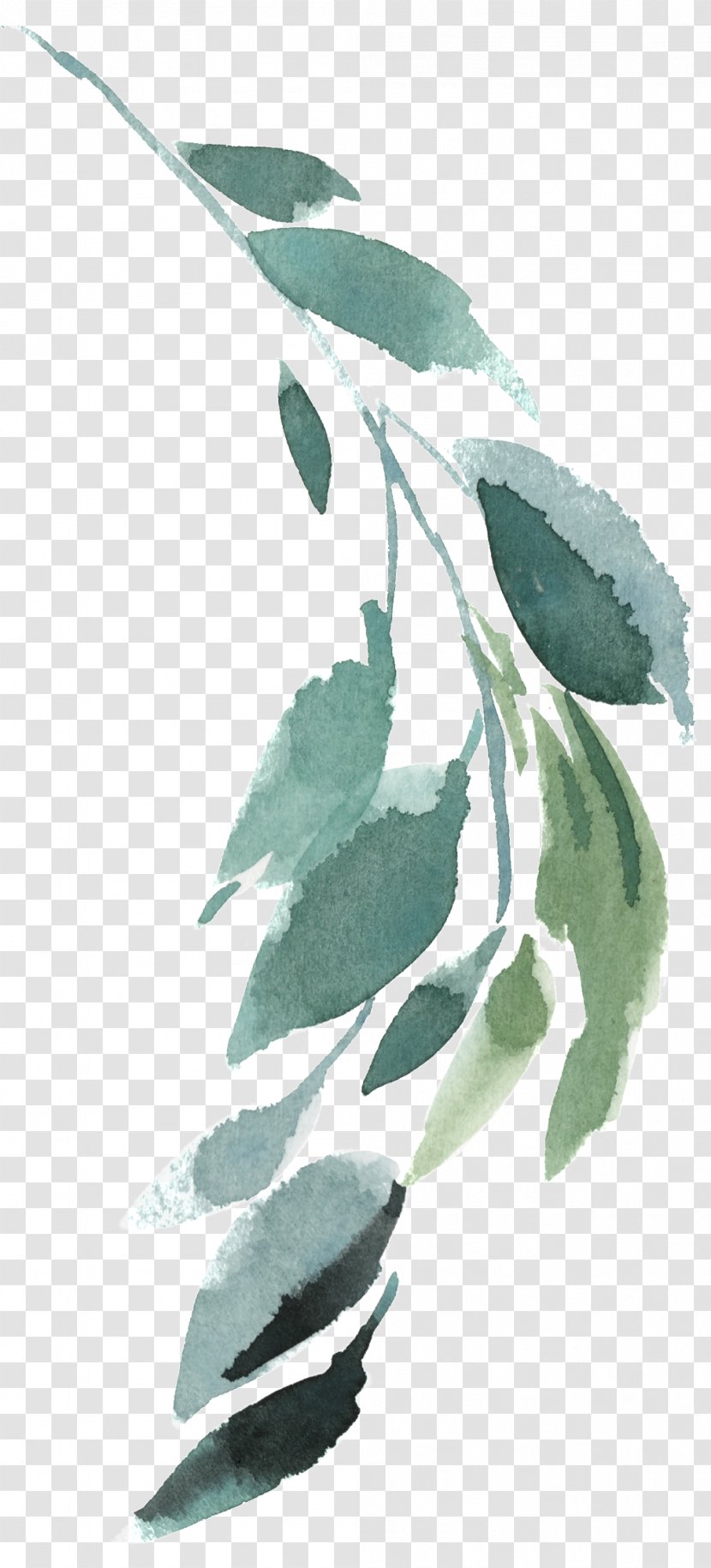 Twig Leaf Ink Plant Stem - Watercolor Painting Transparent PNG