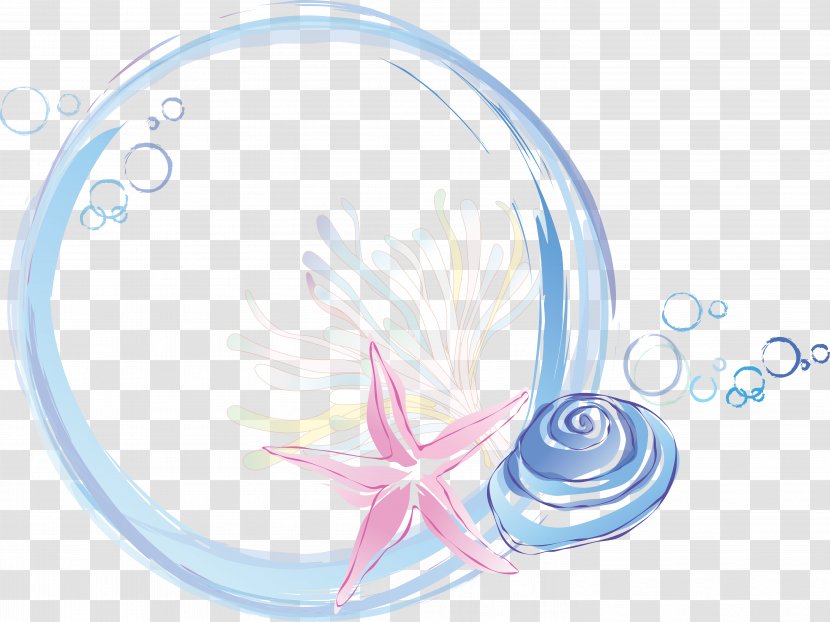 Clip Art - Drawing - Conch Transparent PNG