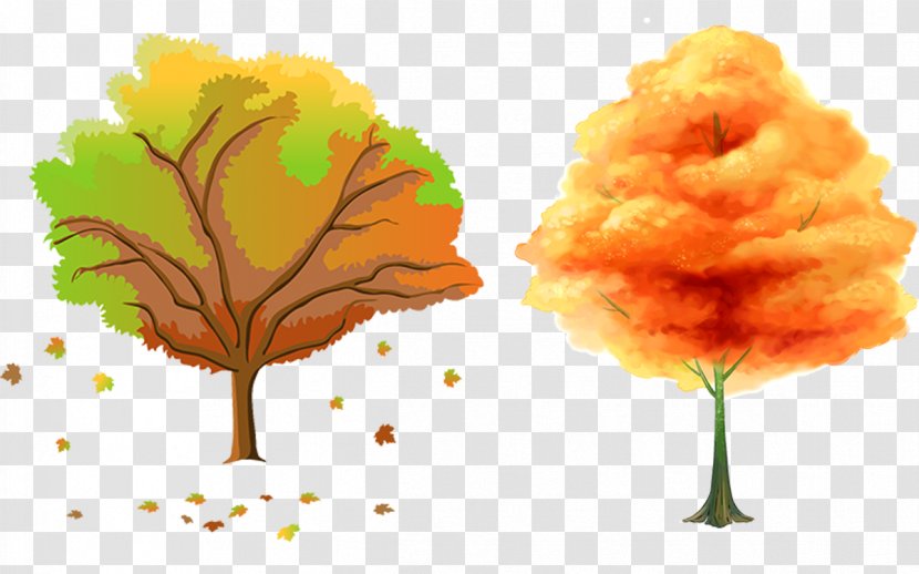 Tree Season Autumn Clip Art - Trees Material Transparent PNG