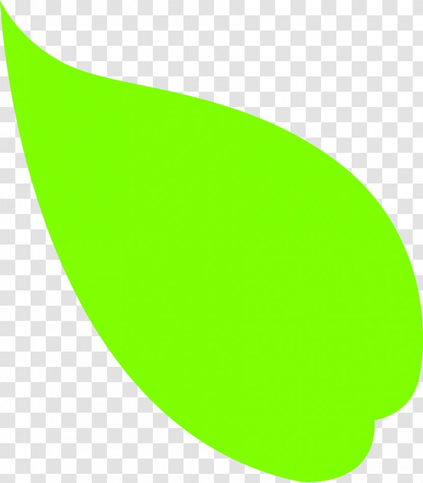 Photography - Thumbnail - Leaf Transparent PNG