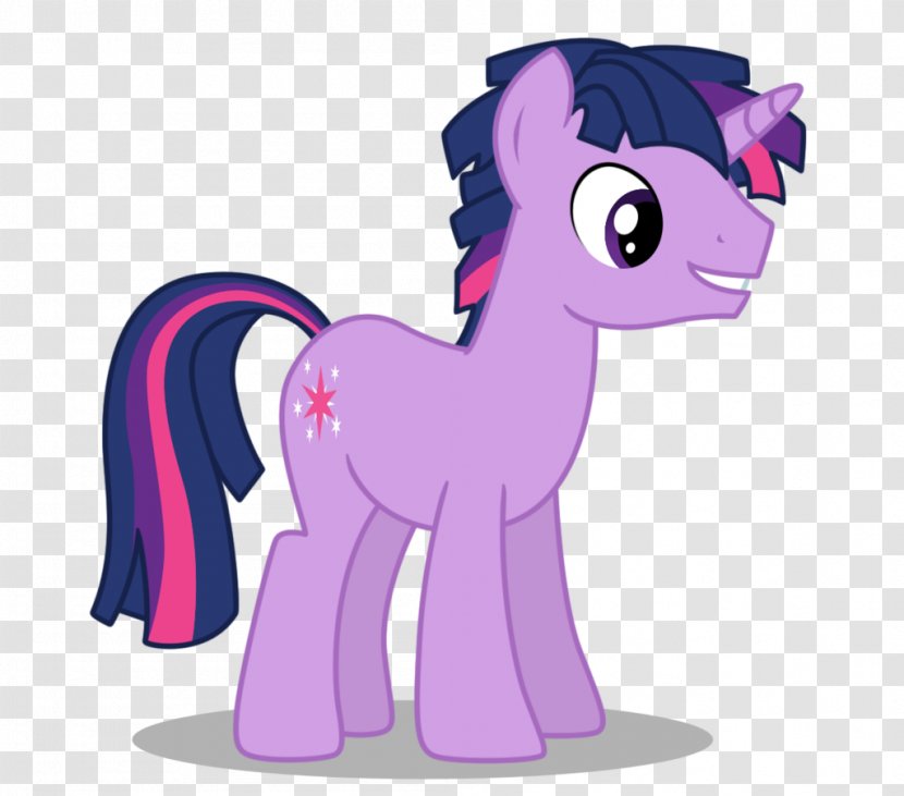 Twilight Sparkle Applejack Rainbow Dash Pinkie Pie Rarity - Silhouette Transparent PNG